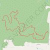 Pioneer Trail at Cane Creek Mountains Natural Area trail, distance, elevation, map, profile, GPS track