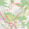 Mynydd Dinas, Mynydd Y Gaer and Foel Fynyddau Loop Walk trail, distance, elevation, map, profile, GPS track